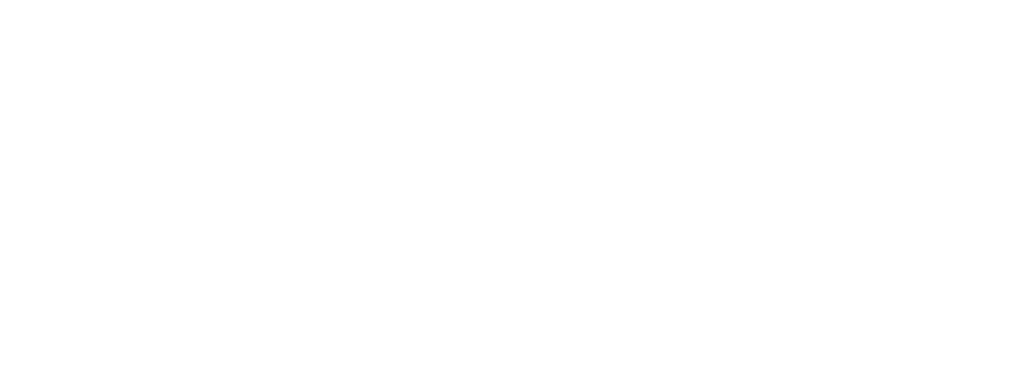 Logo France Paratonnerres Toulouse